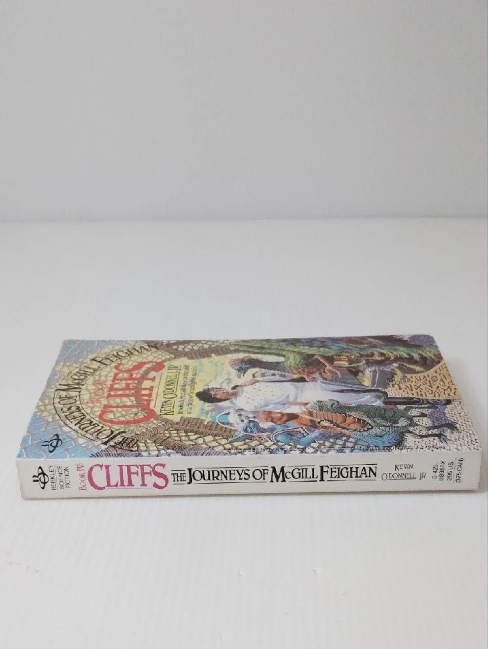 8 For $8 Journeys of McGill Feighan: Cliffs - White Book Cover
